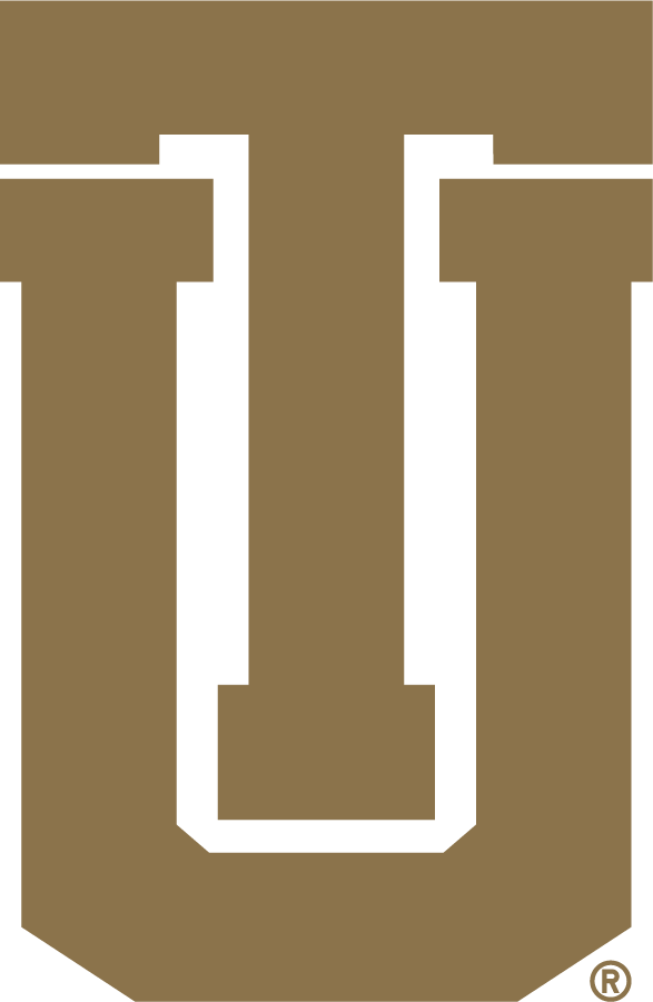 Tulsa Golden Hurricane 1992-2014 Secondary Logo iron on transfers for T-shirts